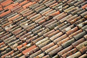 Fragile Roofing